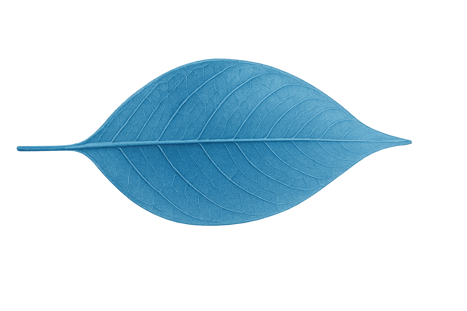 Calm Audio Moment logo